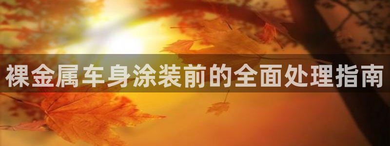 美高梅酒店集团怎么样