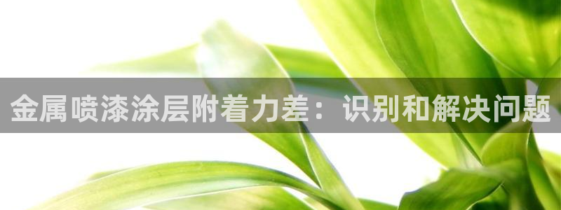 美高梅天幕广场表演
