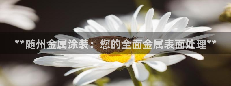 美高梅酒店跑路