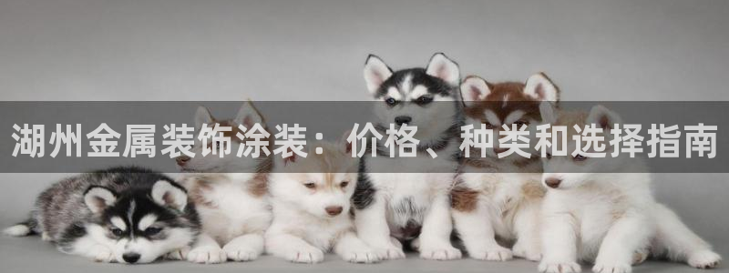美高梅空中海洋秀到底在哪个地方