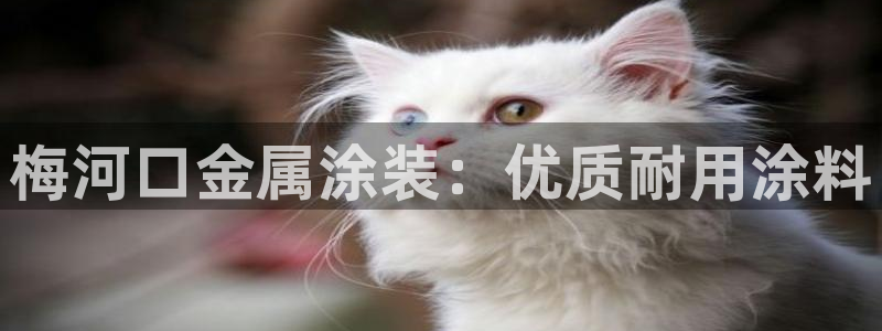 美高梅别墅的供暖费是多少