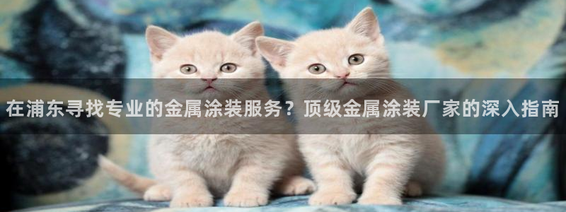 美高梅会员卡打折吗