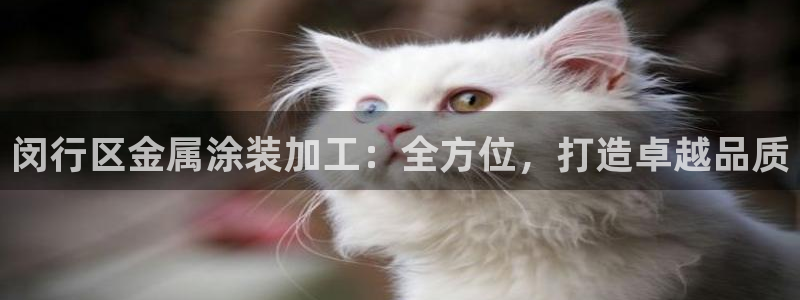 美高梅会员卡免费吗