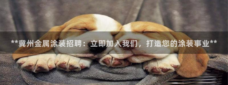 美高梅酒店会员卡级别