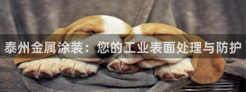 美高梅酒店集团简介