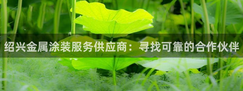 美高梅酒店管理有限公司