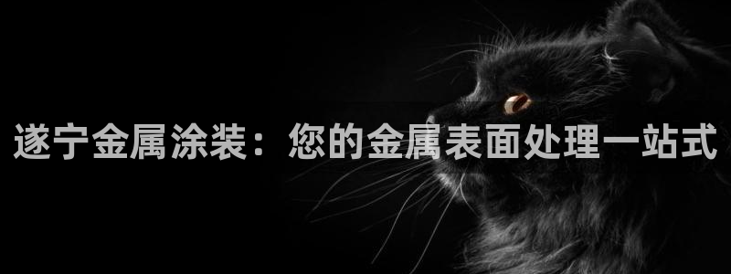 美高梅狮王卡是什么