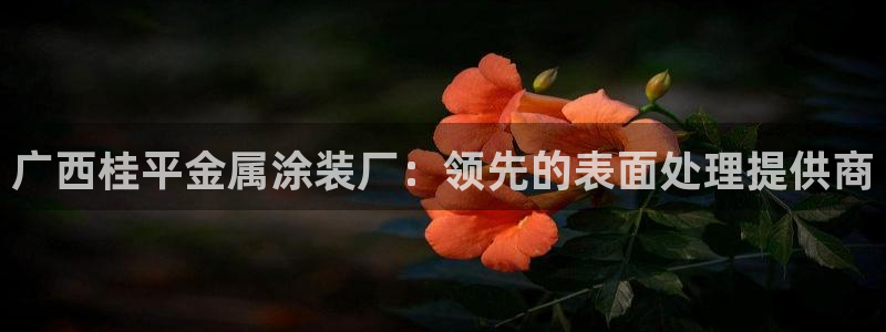 美高梅会员卡级别介绍