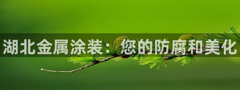 美高梅信德