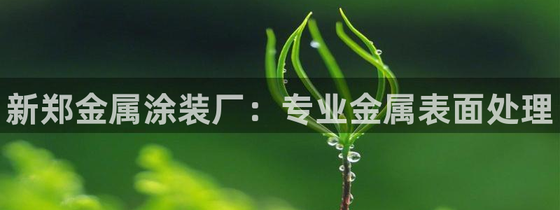 美狮美高梅酒店港澳快线