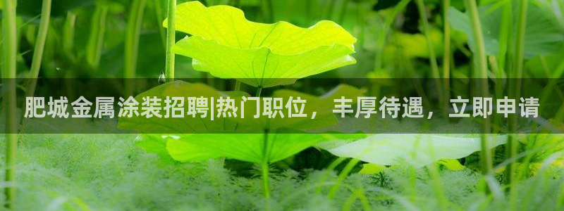 美高梅名字的由来