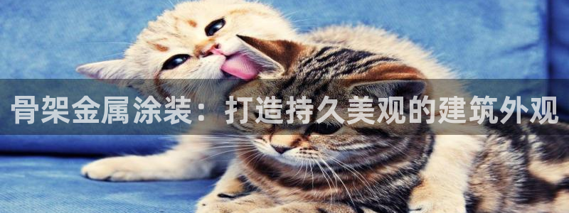 美高梅酒店排名