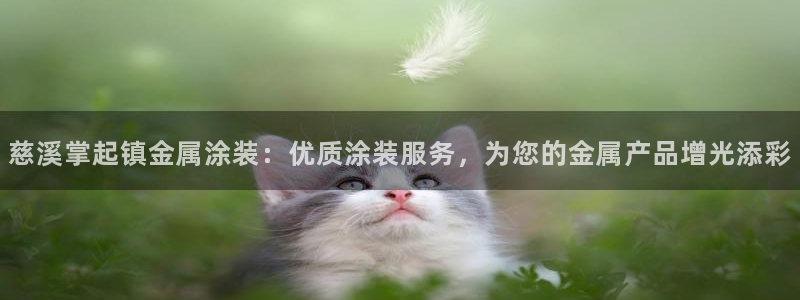 美高梅酒店集团的创始人