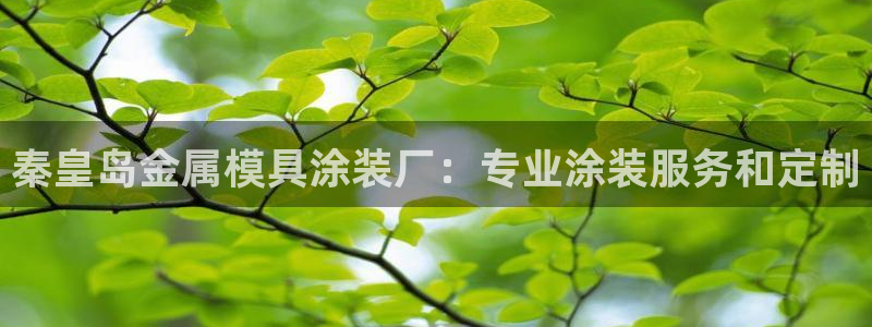 美高梅贵宾厅有哪些