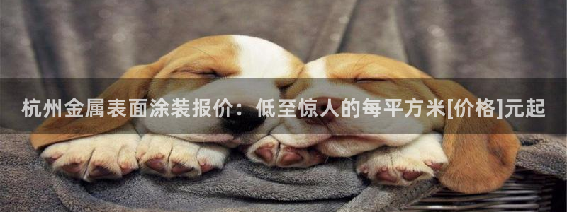美高梅年卡