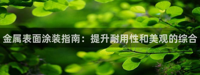 美高梅中国股票