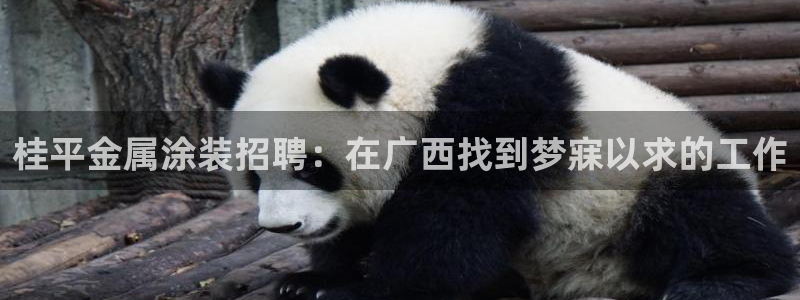 美高梅总部在哪里