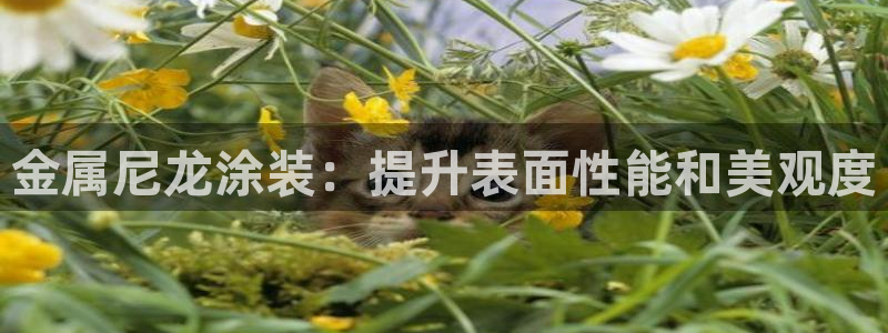 美高梅大酒店地址