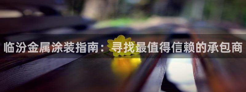 美高梅ip
