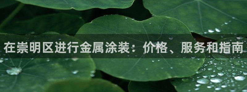 美高梅音乐会公开售票吗