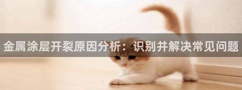 美高梅酒店品牌介绍