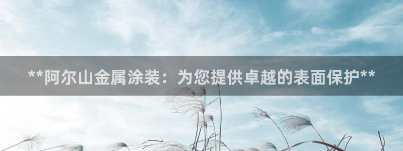 美高梅年收入