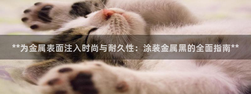 美高梅酒店匹配凯悦
