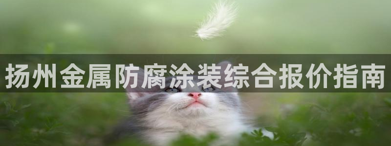 美高梅和美狮美高梅有什么区别