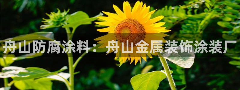 美高梅空气炸锅怎么样