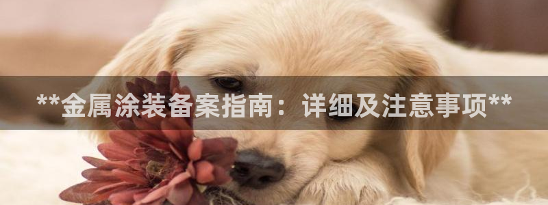 美高梅酒店入住率