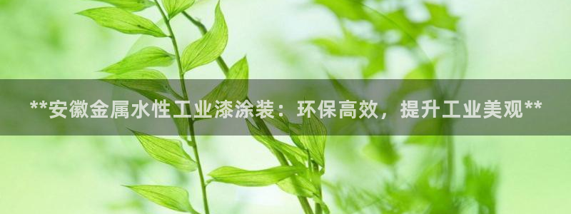 美狮美高梅酒店购物