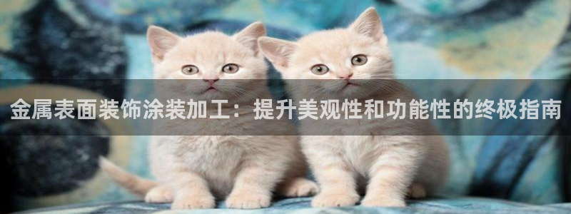 美高梅矿泉水多少钱一瓶