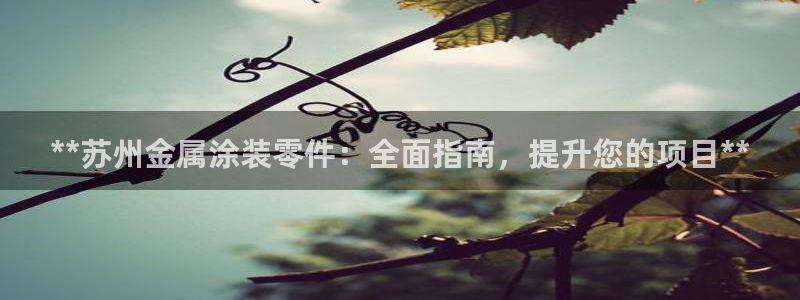 美高梅大酒店简介