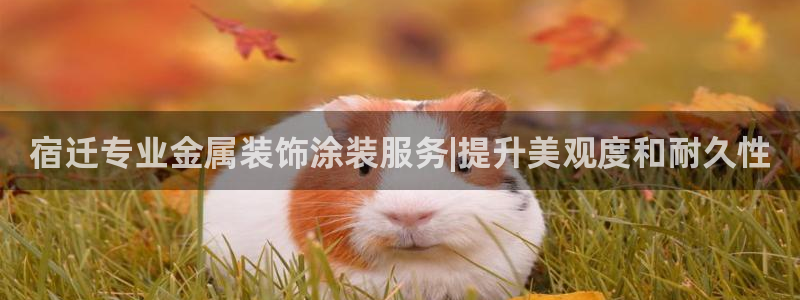 美高梅平台钱取不出来
