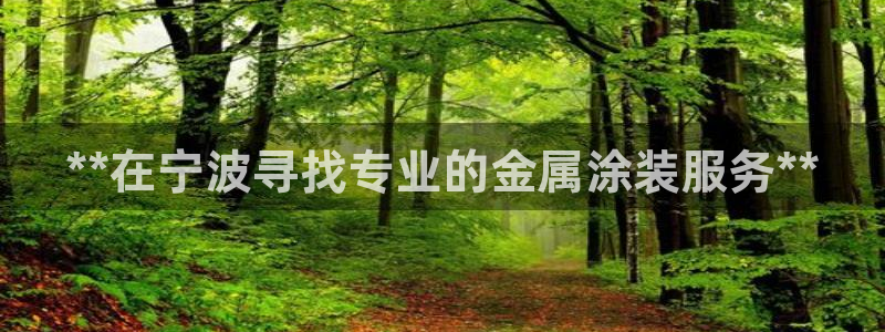 美高梅冯小峰简介