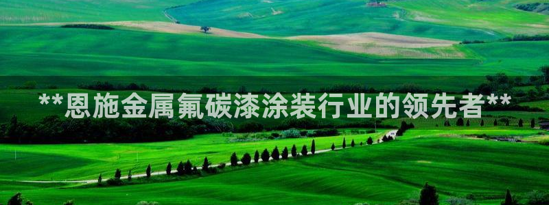 美高梅几星级