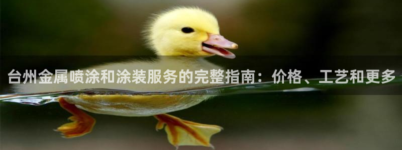 美高梅会员卡级别分类图片