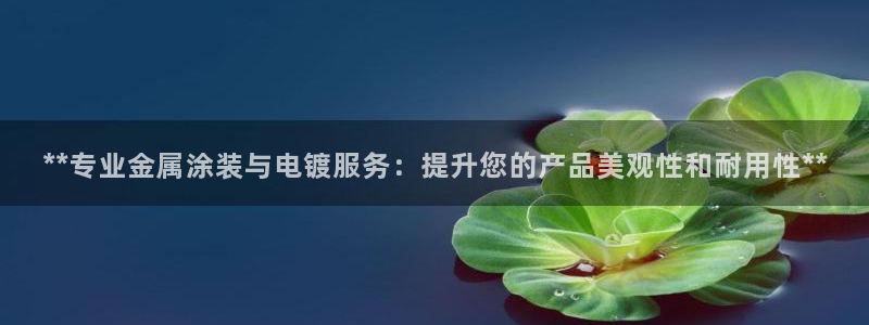美高梅会员卡等级怎么分