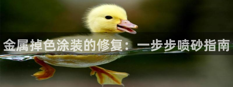 美高梅介绍