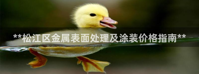 美高梅附近有哪些酒店