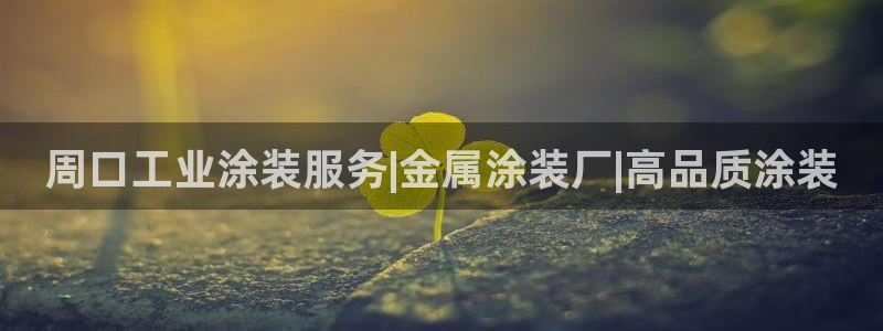 美高梅公司怎么样