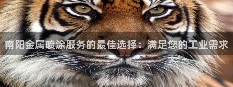 美狮美高梅酒店二楼是干嘛的