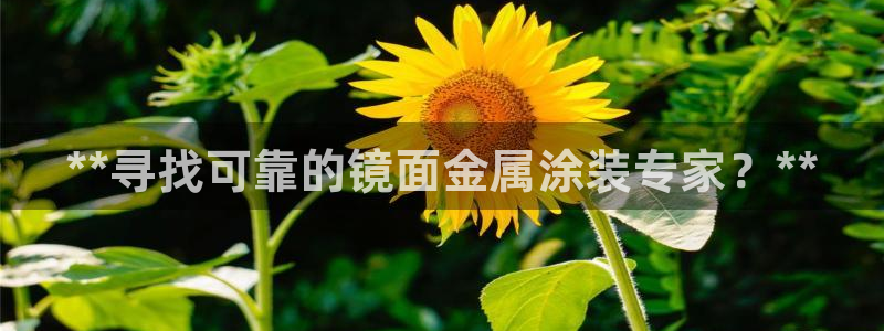 美高梅酒店上海