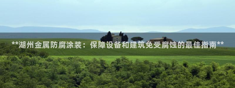 为什么我的美高梅网页上不了