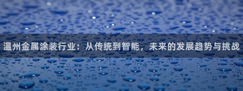 美高梅酒店集团简介