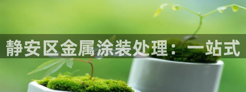 美高梅会员卡怎么获得：静安区金属涂装处理