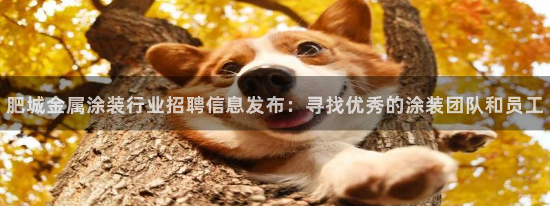 美高梅VIP音乐会