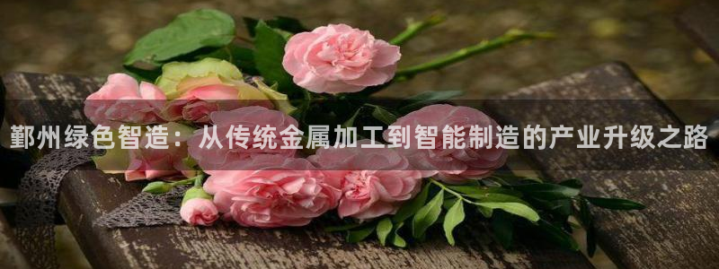 美高梅儿童玩具城