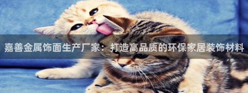 美高梅官网买票