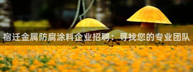 美狮美高梅酒店港澳快线